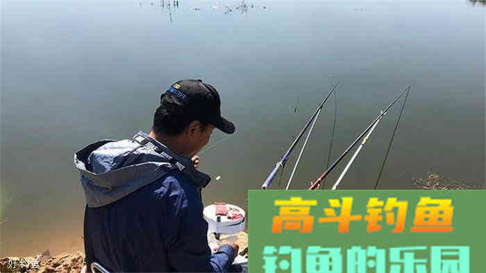 为什么不要以饵料的香型来判断适合什么鱼？这里有答案