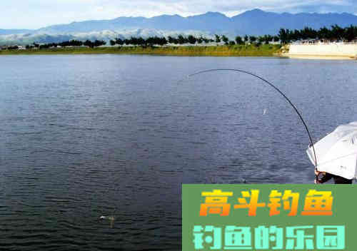 夏季钓鱼用饵的几个理论知识