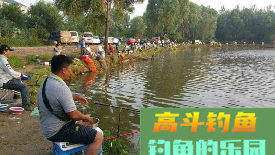 钓鱼小药不能乱用，可这几种情况不用又不行