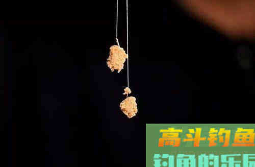 拉饵的3大技巧，饵料状态很重要