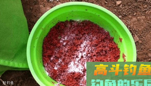 冬季没鱼获？是饵料用不对吧