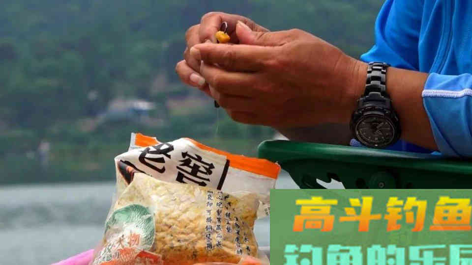 夏季钓鱼这样打窝，招鱼更快，更容易吸引大鱼！
