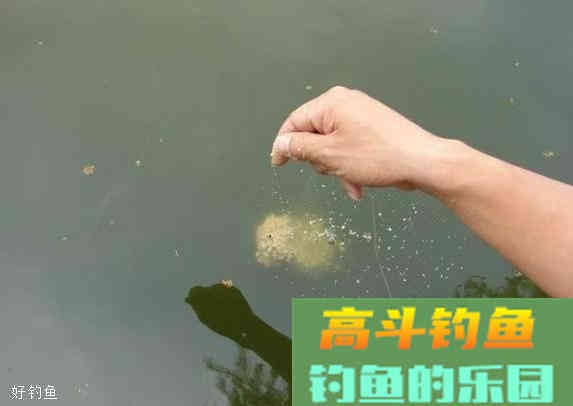 四个诱鱼打窝技巧，天天野生鱼汤喝不完