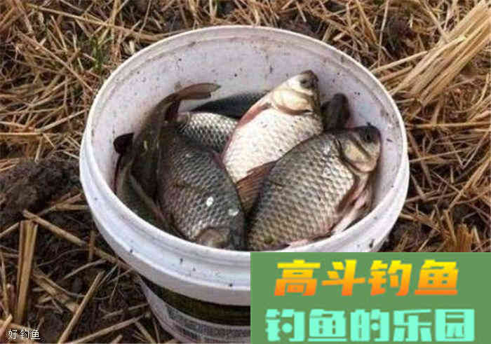酒米的使用方法