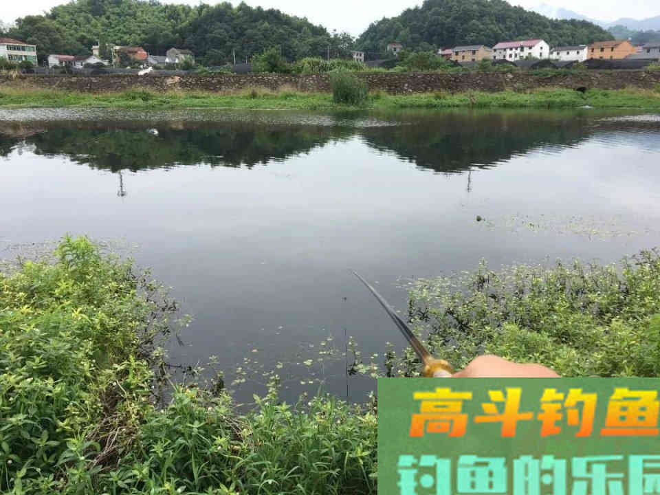用蚯蚓做饵钓鱼可以用的几个技巧