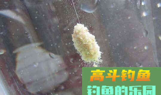 钓了几年鱼还在喂鱼？这四点你肯定不知道