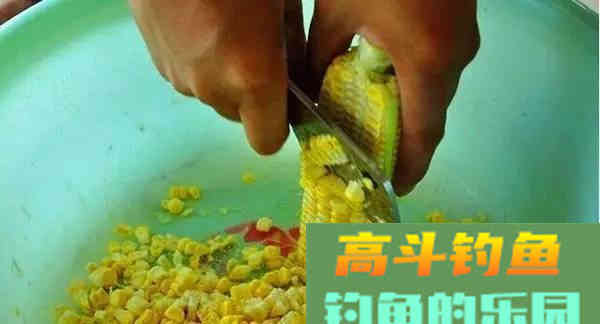 野生鲤和黑坑鲤，生长环境不同，配饵时味型也要有区别