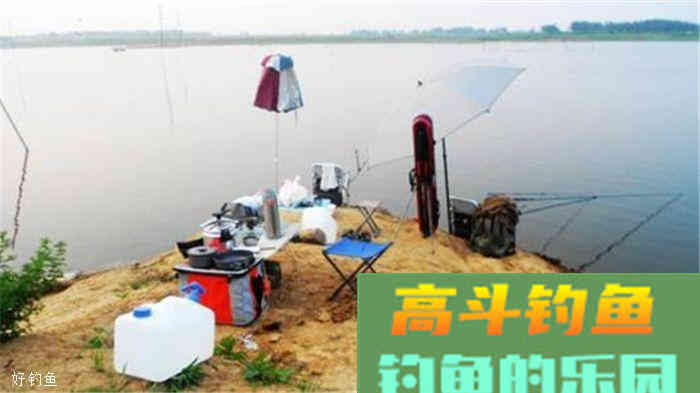 谷物饵料技巧，麦子粒也能上大鱼
