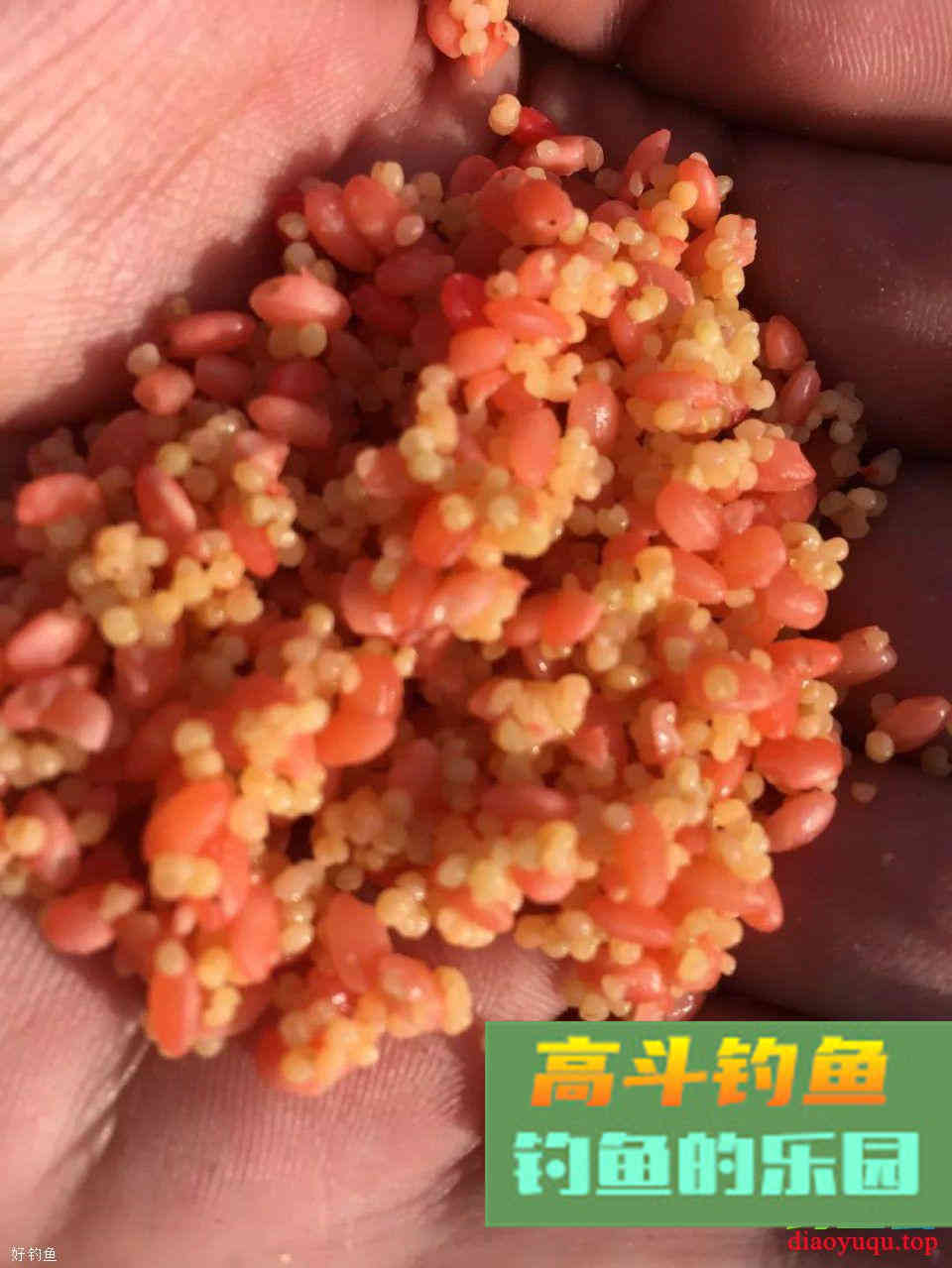 打窝后不上鱼的原因！不讲究方法再多的窝料都是喂鱼