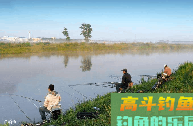 冬季没鱼获？是饵料用不对吧
