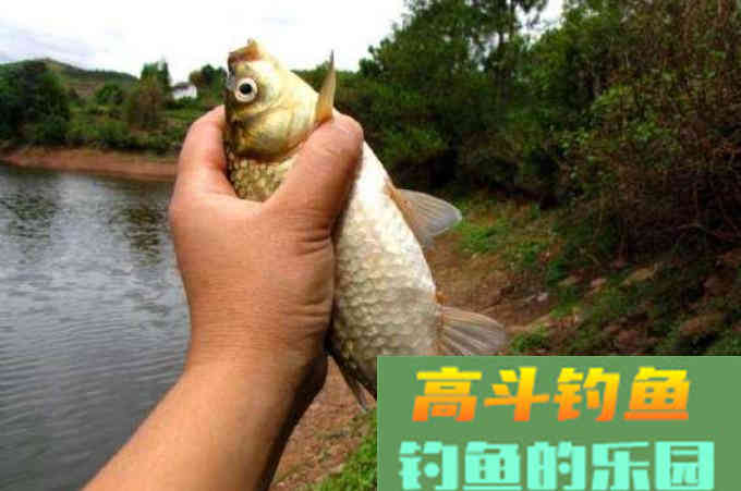 淡诱浓钓这种说法真确吗？真正的结合应该这样