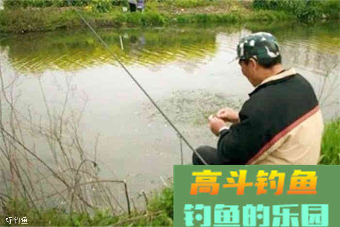 秋季钓鱼打窝技巧分解，易学好用
