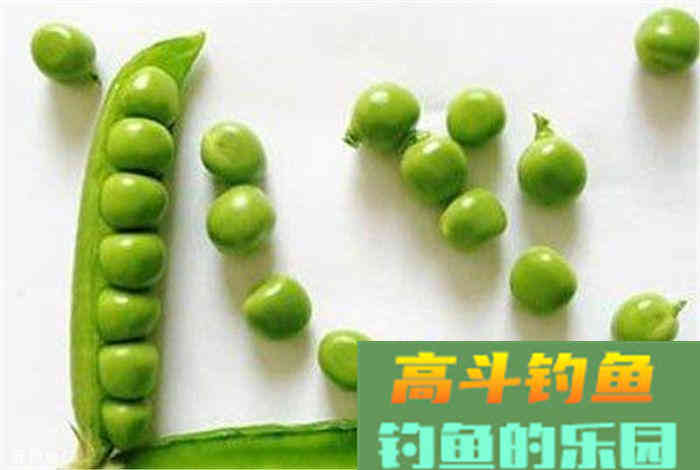 蔬菜，瓜果都可以用来做鱼饵，你造吗？