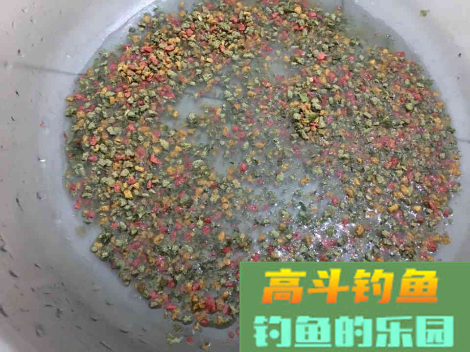 螺鲤如何开拉饵？方法和比例，小鸡饲料也能这么用