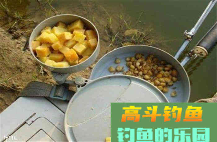 又一个素饵之王“红薯”，钓鲫鱼、鲤鱼的效果非常好