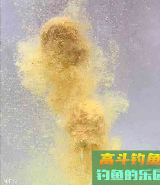 为什么散炮钓法能称霸黑坑？用饵知识你要懂