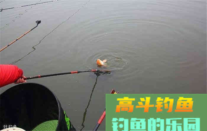 无鱼咬钩是什么原因？记住以下三点鱼获马上变多