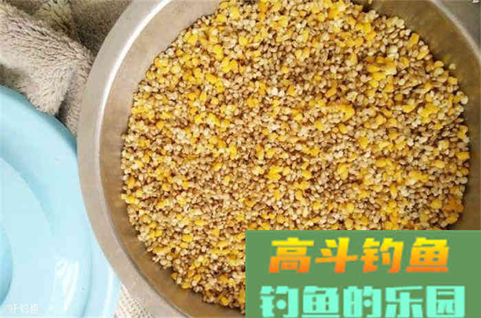 秋季钓鱼打窝技巧分解，易学好用
