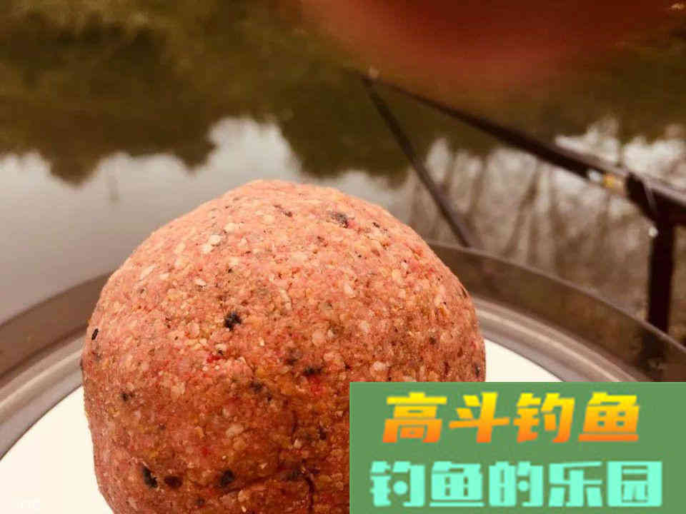 温度升高鱼儿食欲不佳？换种饵料配方给它们“开开胃”