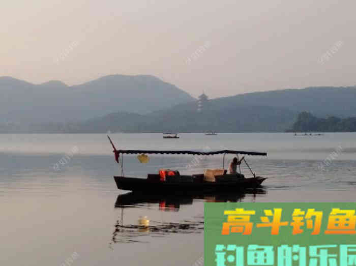秋季野钓与坑钓的饵味型分折与总结