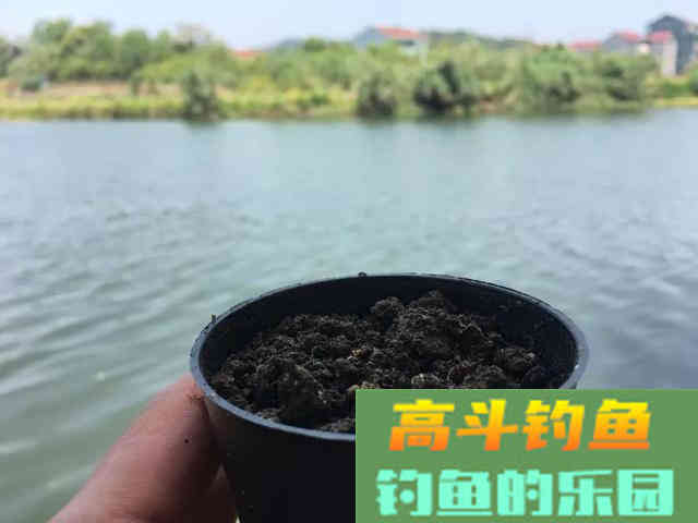 野钓用饵：蚯蚓和商品饵哪个效果更好？其实各有千秋