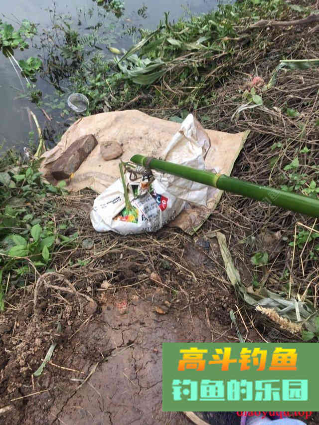 专攻草鱼，原生态饵料制作方法
