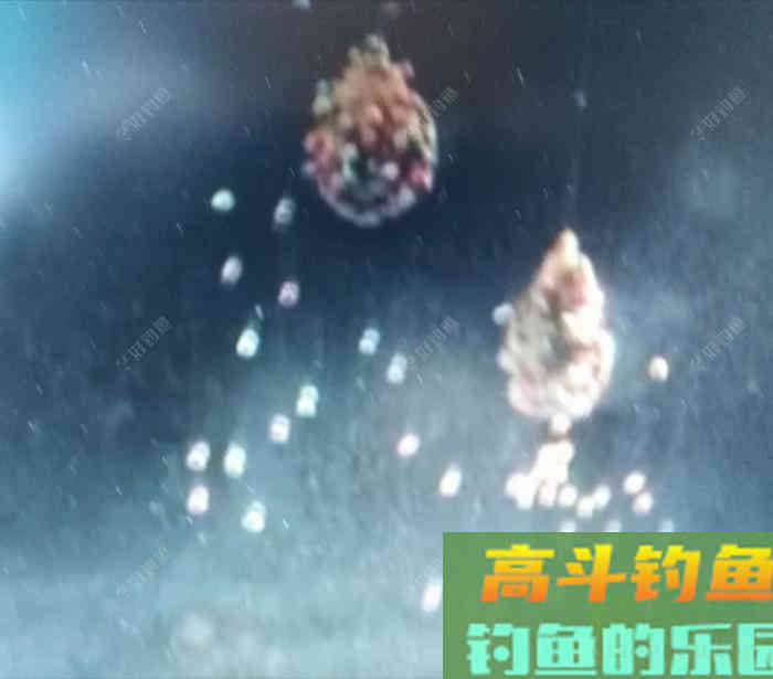 聊下饵料与雾化问题，来自高手的总结