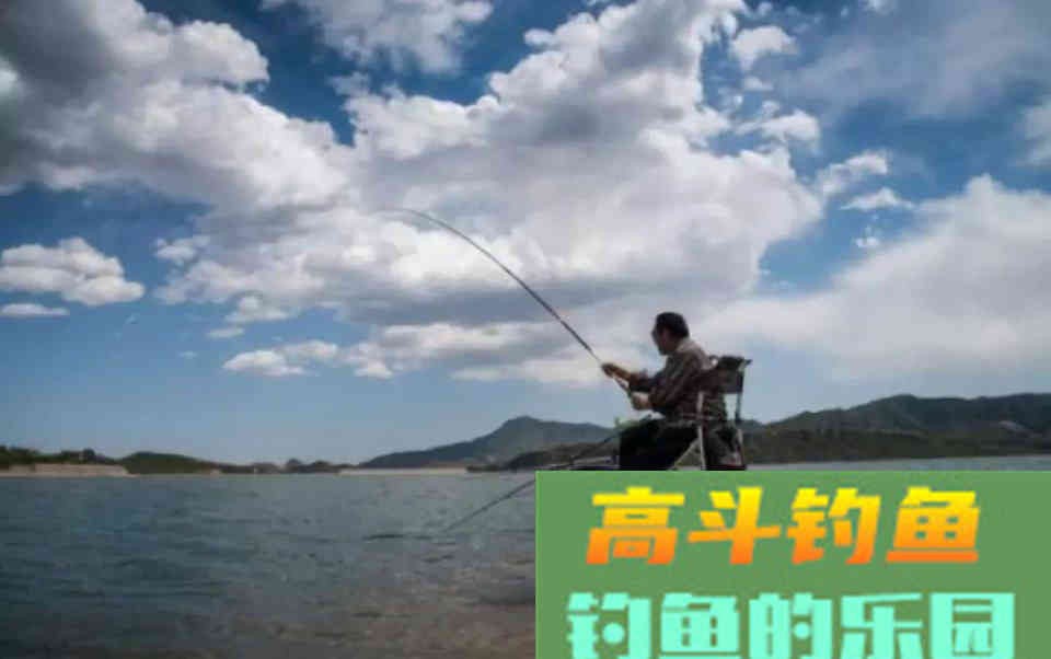 打窝与做窝，具体的做法反映出你是不是发烧友