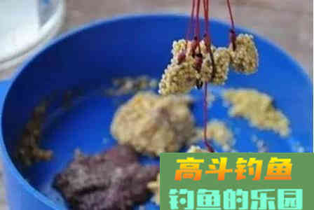 冬季钓鱼怎么正确打窝？