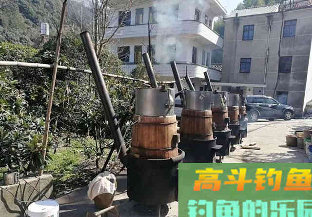 酒糟打窝的用法与用量是多少？全方位解答