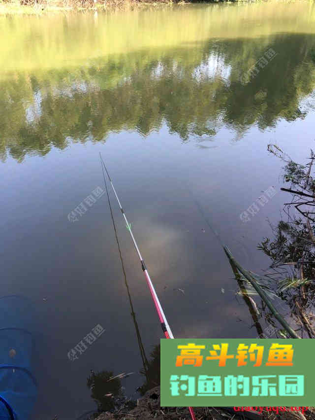 专攻草鱼，原生态饵料制作方法