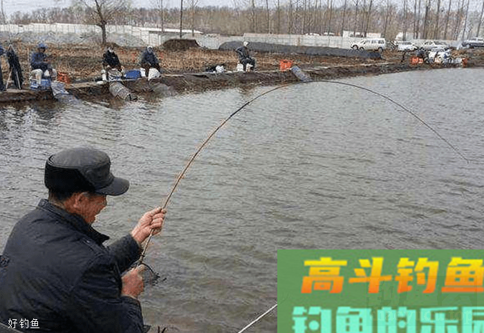 立冬过后，高手都用散炮钓鲫鱼