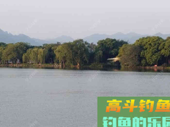 秋季野钓与坑钓的饵味型分折与总结