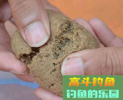 钓鱼拉饵，这5个环节才是重中之重