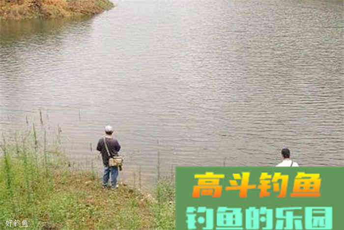 秋季钓鱼打窝技巧分解，易学好用