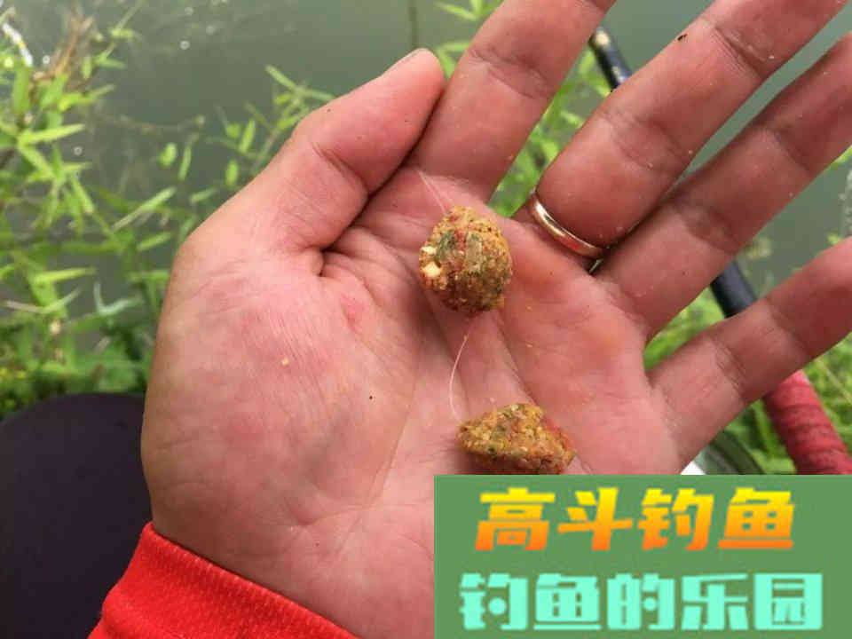 商品鱼饵的搭配以及相互替代，野钓不再拘泥于配方