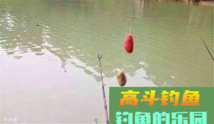 拉饵还是搓饵？论这两种方法的利弊