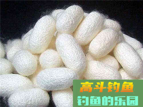 传统钓用什么饵好