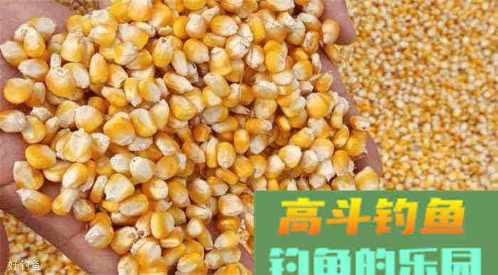 常见鱼类饵料大全，赶紧收藏备用