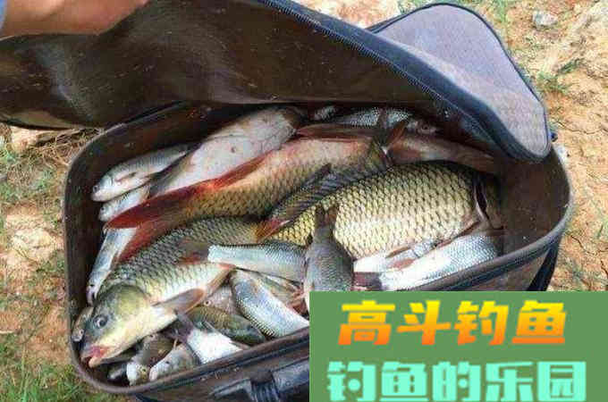 淡诱浓钓这种说法真确吗？真正的结合应该这样