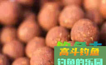 淡水钓鱼什么时候开软饵和硬饵？