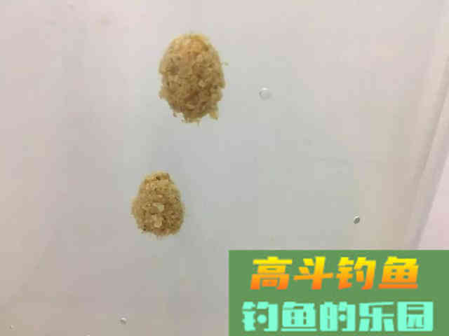 黑坑开散炮，如何配比，该如何上饵抛竿？自己经验