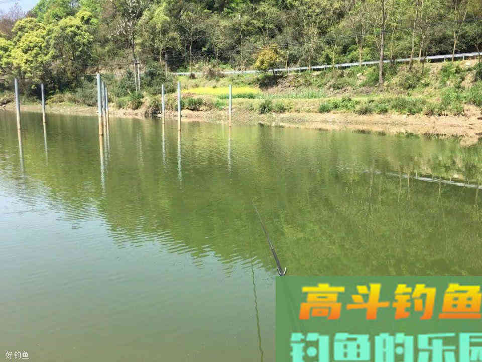 玉米挂钩诱鱼性太差？穿上一条蚯蚓后，玉米就“活”了