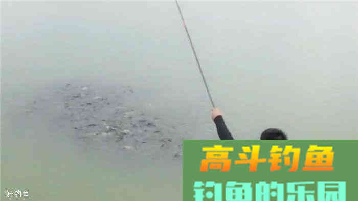 钓鱼想要连杆就得打窝，而且还是早打窝