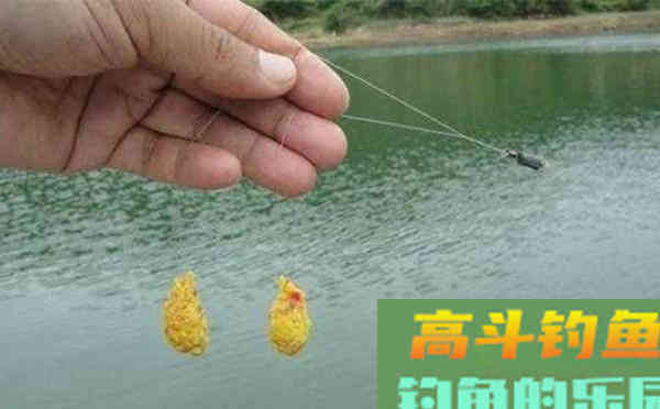 野钓饵料搭配的四个注意事项