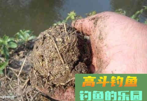 夏季钓鱼打窝小技巧，长久聚鱼小秘诀