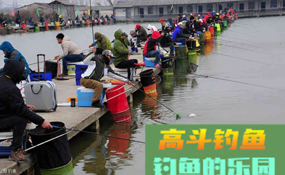 黑坑钓鱼，一些配饵基础常识需要清楚