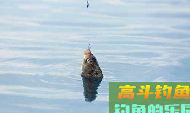 抽窝与打窝的区别是什么，要注意些什么呢