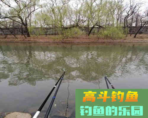 浅谈夏季野钓的三招选饵技巧