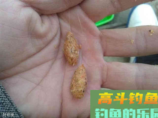三伏天用饵技巧，水热鱼仍大开口